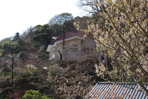 浄妙寺の桜と境内レストラン_09.jpg
