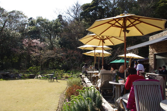 浄妙寺の桜と境内レストラン_11.jpg