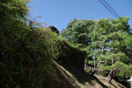 海蔵寺の萩と十六の井_01.jpg