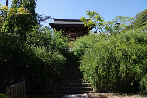 海蔵寺の萩と十六の井_04.jpg