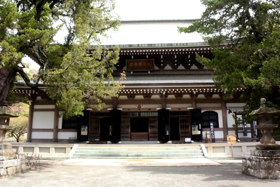 円覚寺の桜1・惣門から仏殿へ_13.jpg